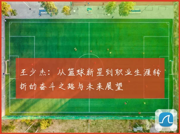 王少杰：从篮球新星到职业生涯转折的奋斗之路与未来展望